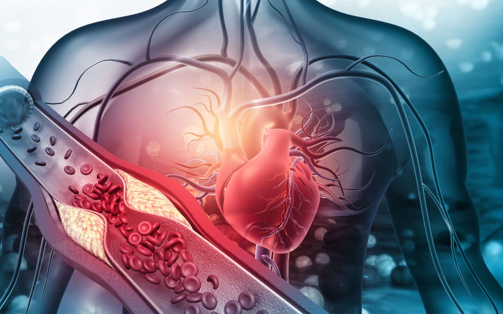 heart-disease-the-early-warning-signs-raindrum