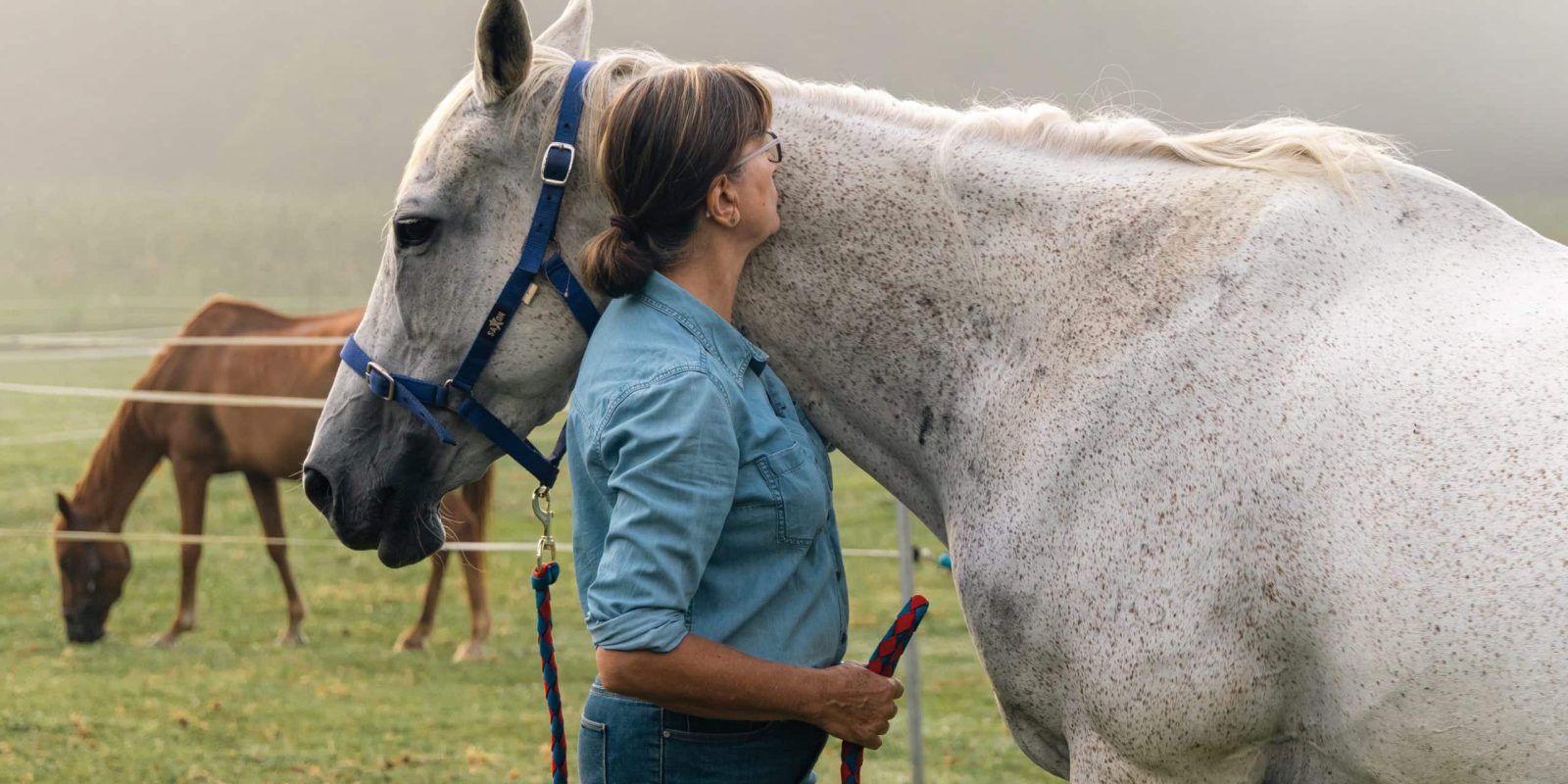 raindrim_the_healing_power_of_horses